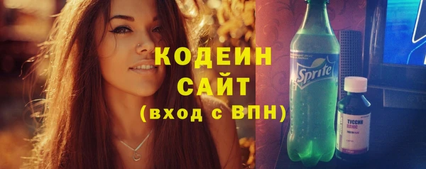 мдпв Бородино