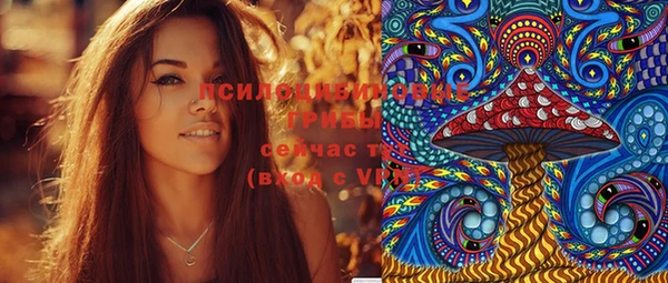 ГАЛЛЮЦИНОГЕННЫЕ ГРИБЫ Бронницы