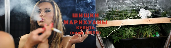 ПСИЛОЦИБИНОВЫЕ ГРИБЫ Богданович
