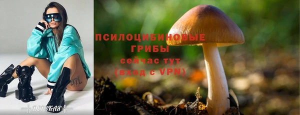 мдпв Бородино