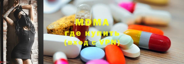 мдпв Бородино