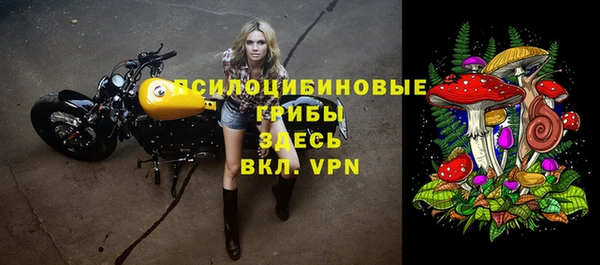 бутират Богородицк
