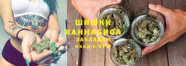 мдпв Бородино