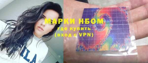 мдпв Бородино