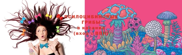 ГАЛЛЮЦИНОГЕННЫЕ ГРИБЫ Бронницы