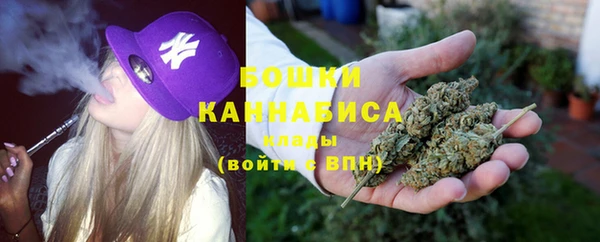 мдпв Бородино