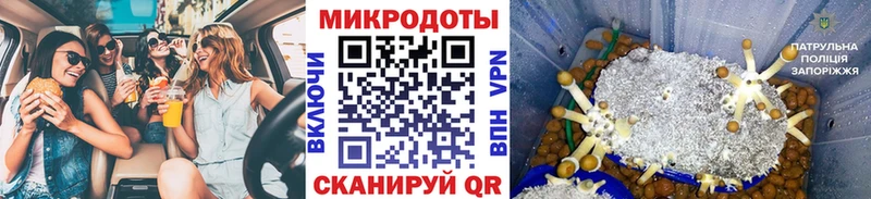 Галлюциногенные грибы Psilocybe  купить наркотик  Ветлуга 
